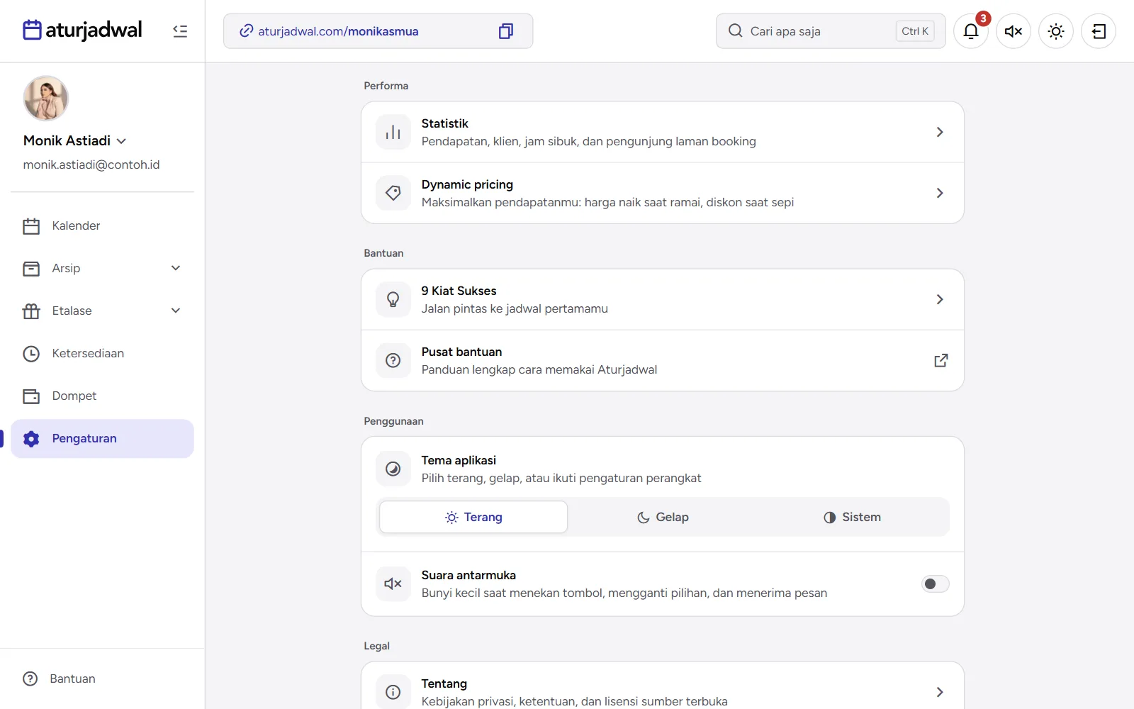 Tangkapan layar: bagian Penggunaan dengan Tema aplikasi dan Suara antarmuka, tampilan desktop